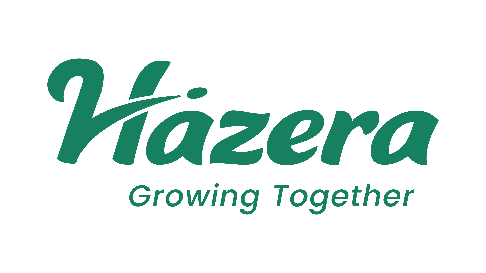 Hazera