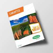 Carottes
