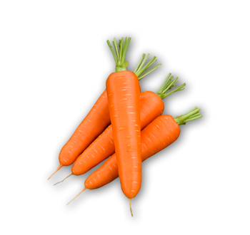 CAROTTES