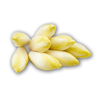 ENDIVES