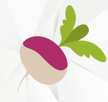 Globe à collet violet