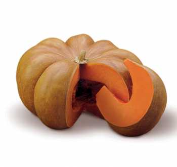 Musquée de provence