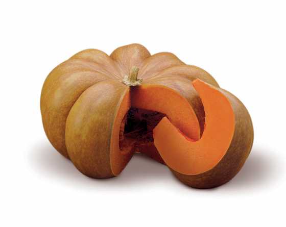 Musquée de provence